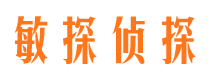 维扬侦探公司